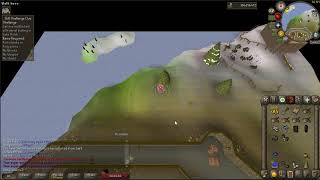 Catch a mottled eel with aerial fishing in Lake Molch - SHERLOCK Elite Clue (73 FISH/68 HUNT REQ)