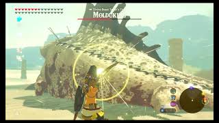 Escape Dark Beast Ganon, Explore Hyrule with Bow of Light and Return to help Zelda