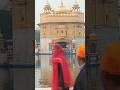 Tum karo daya mere swami #gurubanishabad #trendingshorts