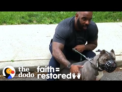 Watch This Guy Slowly Win Over His Rescue Dog Who Was Scared Of Men | The Dodo Faith = Restored