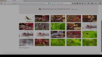 AI Vision Demo: Build your own image classification API easily