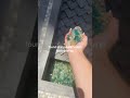 Consigue AliExpress & Hacoo Código Promocional June 2026 | | www.wobaaa.com