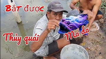 Khảivlog/cả nhóm 1 ngày đi chài lưới bắt cá trên cánh đồng và bắt được thủy quái, ma da.