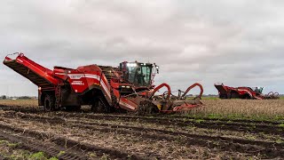 Potato🥔 Battle getting STUCK | 2x Grimme Ventor 4150 & Dewulf Kwatro | Loonbedrijf Sandee