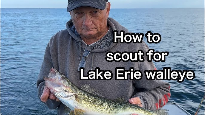 Lake Erie is the walleye capital of the world in winter, as well as summer  