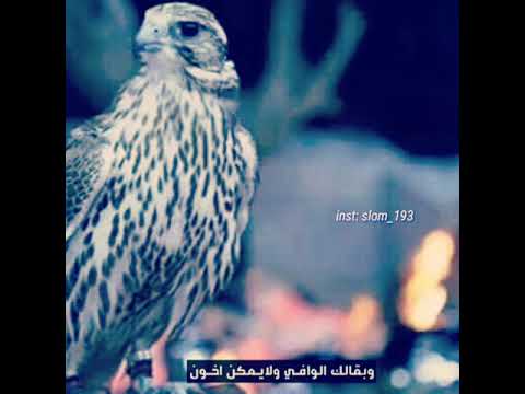 شعر حزن فراق