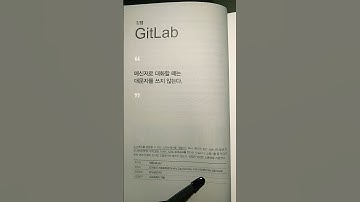 대문자를 쓰지 않는다 #깃랩 #깃랩핸드북 위대한기업은한문장을실천했다 #shorts