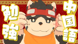 【中国語勉強】中国語本当難【Duolingo】