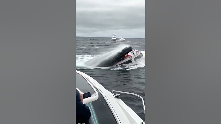When Giants Attack: Whale Swallows Boat Whole! 🐋😱