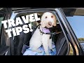 How I Travel with My Dogs 🐶  &amp; EVERYTHING I use! 🚗