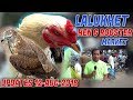 Lalukhet Birds Hen & Rooster Market Over View12-8 2018 (Jamshed Asmi Informative Channel) Urdu/Hindi