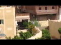 الغش فى بيلا إمتحانات الثانوية ببيلا 3 