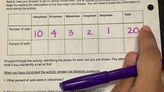 Mitosis Pre Lab instructions