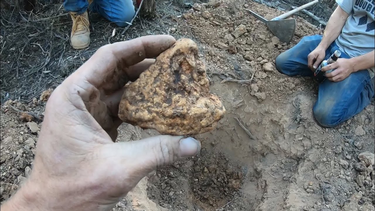 ⁣19 OUNCE MONSTER GOLD NUGGET