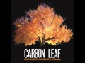 Carbon Leaf - Meltdown