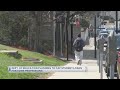 Dept. Of Education Planning To Cap Student Loans For Some Professions