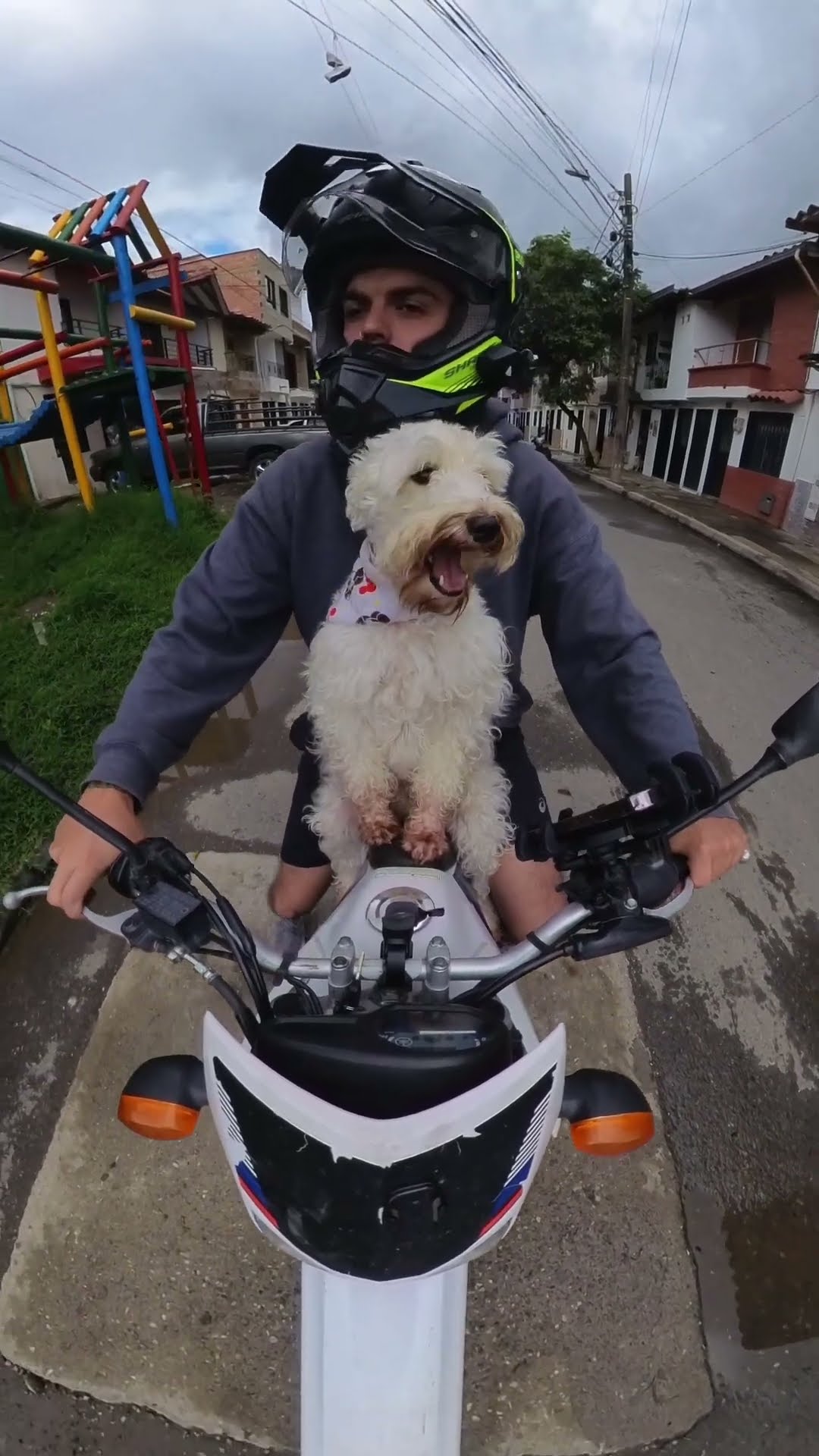 Dog Jumps on Motorbike for Mini Road Trip Adventure