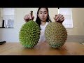 Now I can eat The FRESHEST Durian in Hong Kong!!!