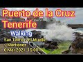 Afternoon Walk in Puerto de la Cruz, Tenerife/Teneriffa, Canary Islands/Canarias 6 Mar 2021