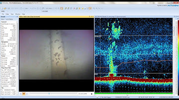 EK-60 Sonar Data Paired with C-BASS Video - Gulfstream Pipeline, Gulf of Mexico