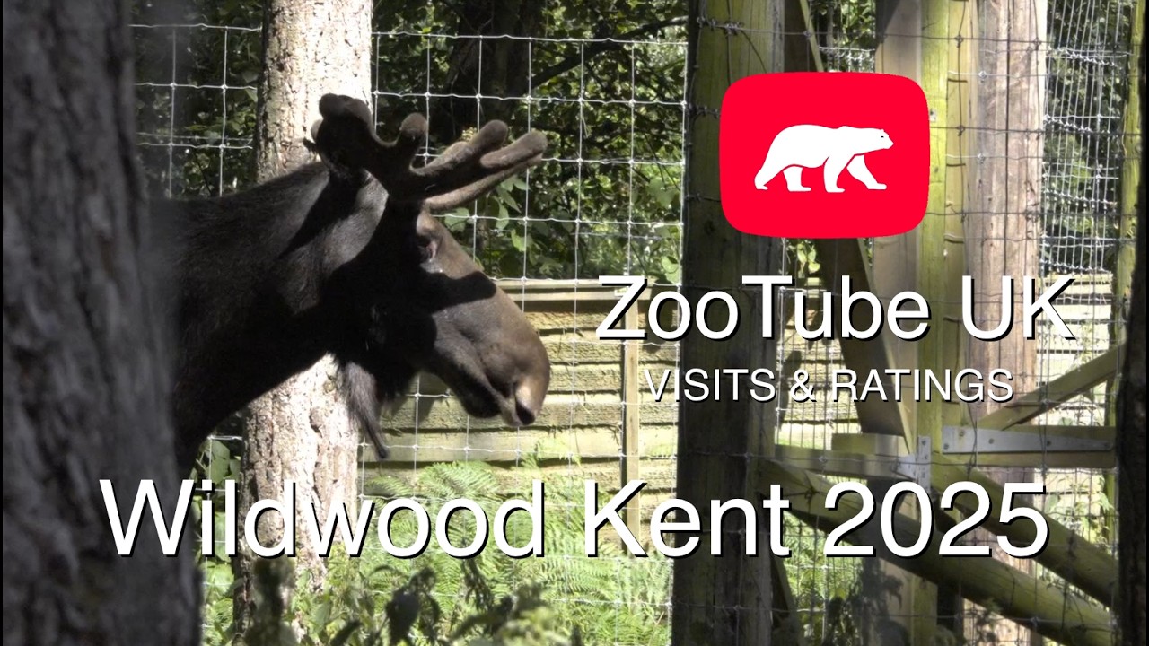 Wildwood Kent 4th July 2025