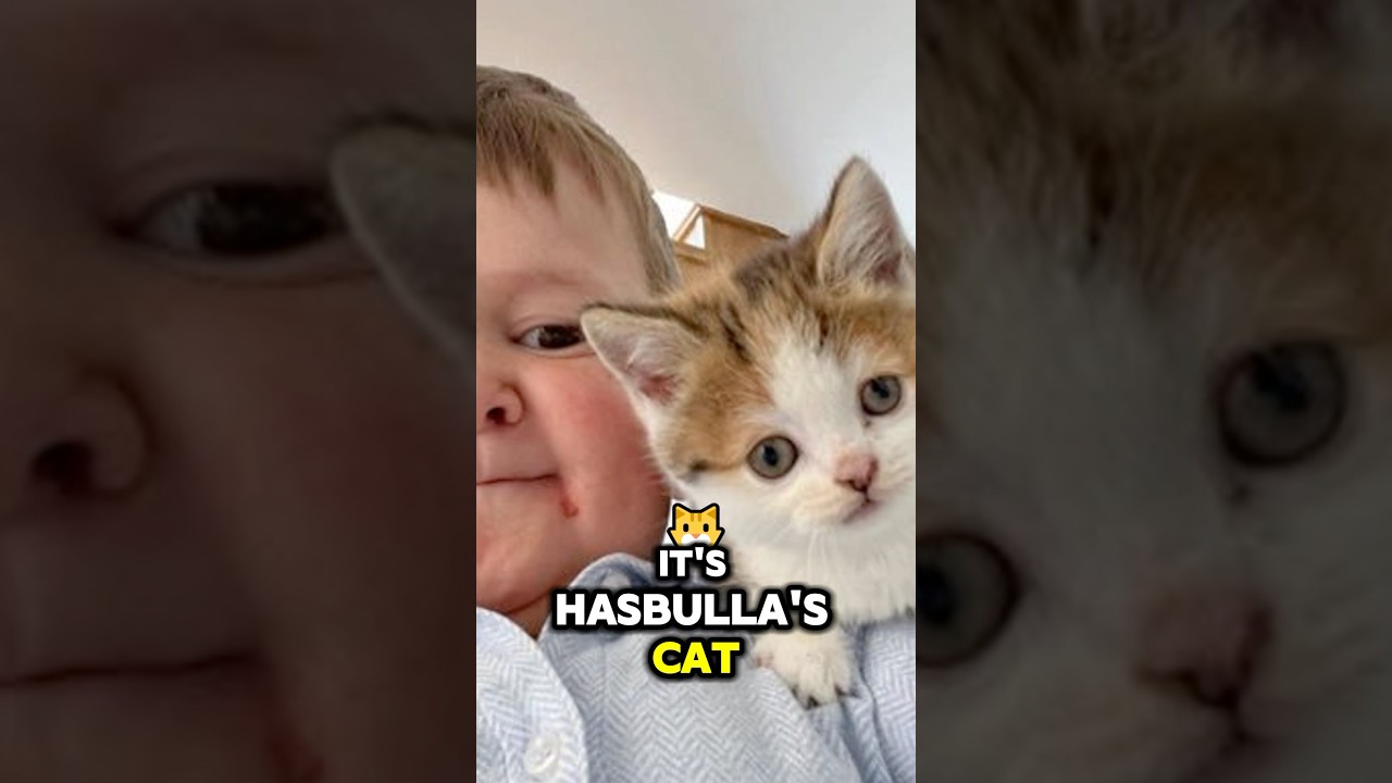 BARSIK Is Going Parabolic. #crypto #memecoins #barsik - YouTube