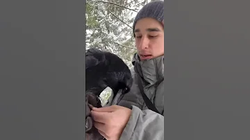Это должно быть у всех хищных птиц! Амуниция