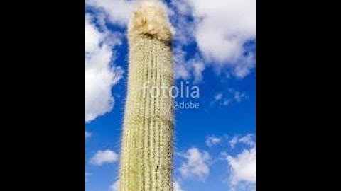 [60Hz] Byte by Klafterno & more (EASY DEMON)