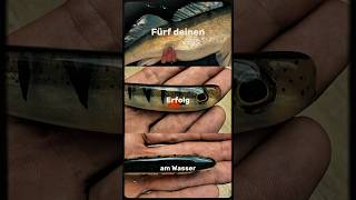 MIKATECH Softbaits - für deinen Fangerfolg - der Zander und Hechtköder Real Shad