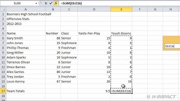 Excel 2010 Average And Sum Functions