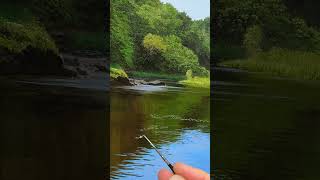 How to Paint Water Reflections