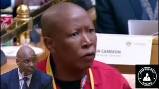 UJulius Malema usole uCedrick Nkabinde ngokudukisa ikomiti lePhalamende nokuqamba amanga
