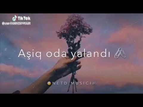 inanma eşqi yalandı aşiq oda yalandı