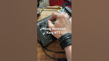 Moog Werkstatt Korg NTS1