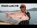 PEACE THE MOVIE #19「春から梅雨にかけて激渋!?真鯛一本勝負!」東北山形・庄内の旅/平和卓也(706)