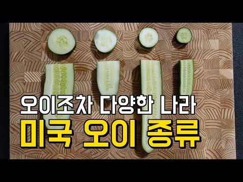 미국 오이 종류 차이 영어로 슬라이싱 피클링 잉글리쉬 레귤러 미니 큐컴버 차이 Difference Slicing Pickling English Mini Cucumber