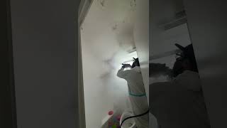 South Florida’s top-rated mold prevention and mold remediation company