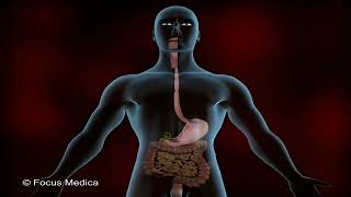 Understanding Diabetes Starts with Knowing Your Body!