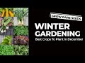 Best Crops To Plant In December
