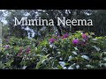 Mimina Neema Keyboard Performance Mimina Neema Keyboard Performance
