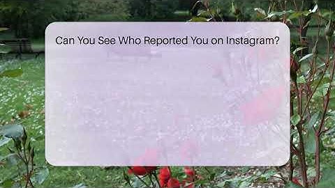 Can You See Who Reported You on Instagram? - Everyday-Networking