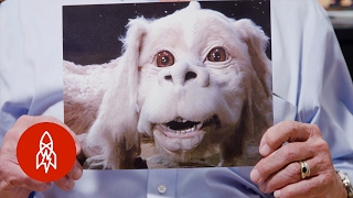 Skeletor and Falkor Were Voiced by the Same Person