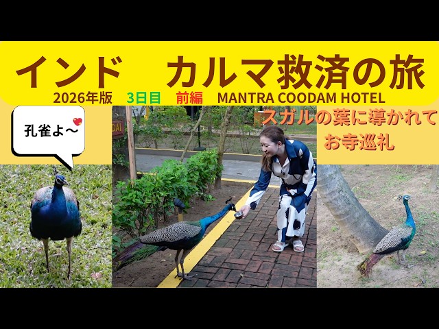 2026年インド🇮🇳カルマ救済の旅✈️ DAY3 前編