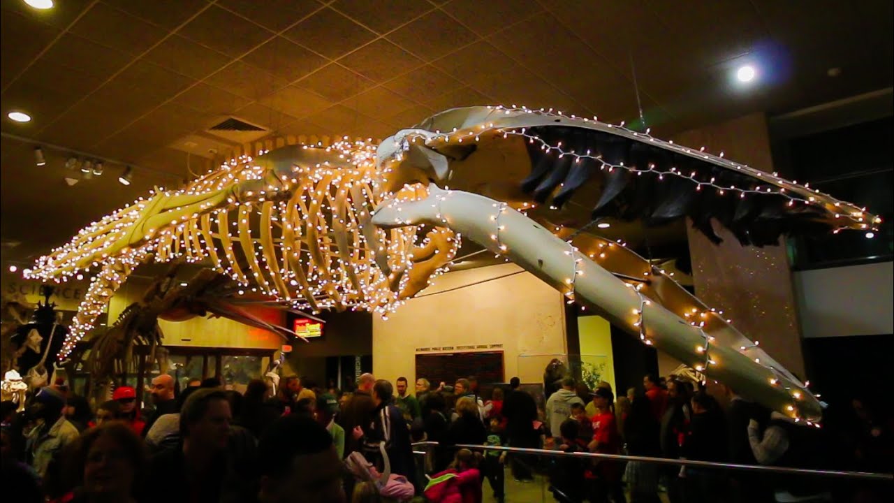 Milwaukee Natural History Museum Milwaukee Natural History Museum