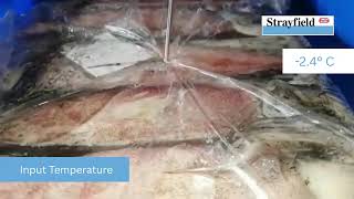 Seafood Defrosting | Strayfield RF #Strayfield #termopartners #termo #foodrindustry  #food