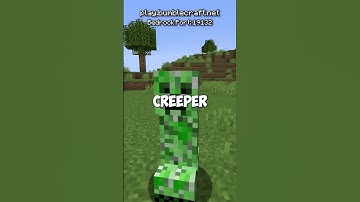 what do mobs see in minecraft?
