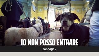 Blitz degli animalisti a messa: 