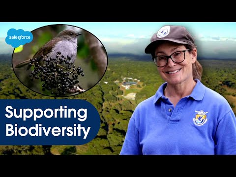 How Salesforce & 1t.org Are Supporting Trees and Biodiversity with American Forests in Hawaii