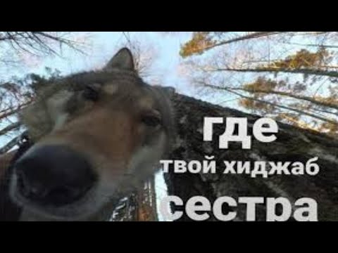 где твой хиджаб, сестра