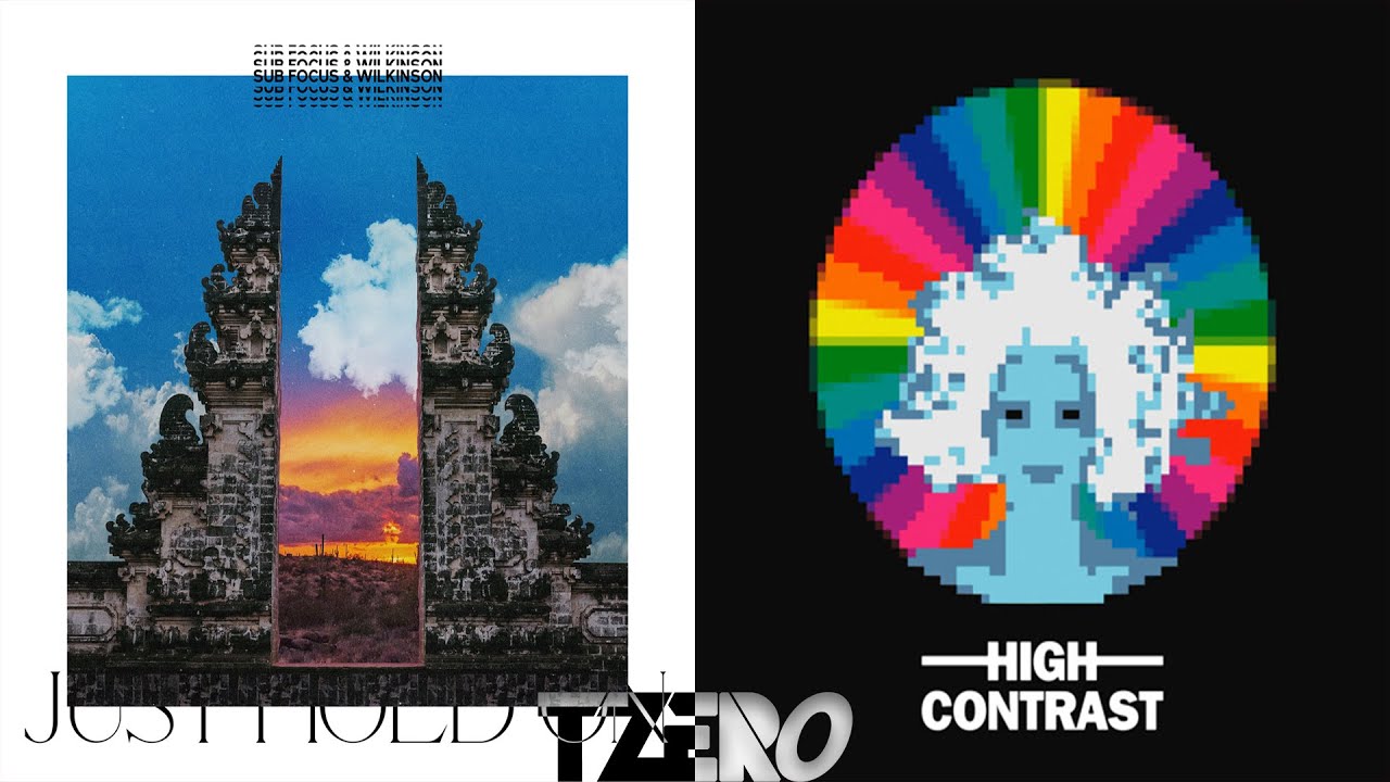 ⁣Just Hold On (Pola/Bryson Remix) VS Days Go By - Sub Focus/Wilkinson VS High Contrast [TZero Mashup]